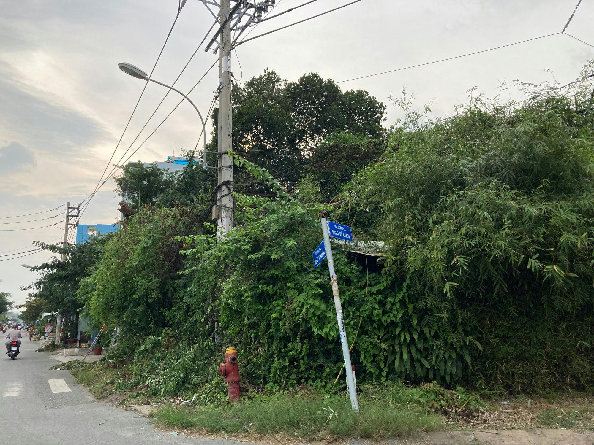 Ba ốc đảo giữa Sài Gòn
