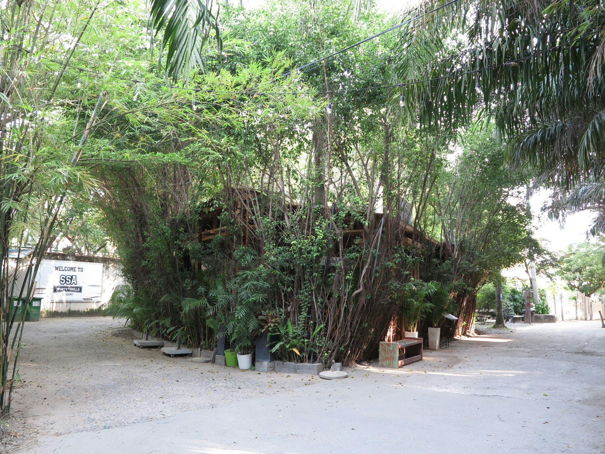 Nơi nào ở Sài Gòn yêu cây xanh nhất?